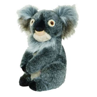 Daphne's Koala Driver Headcover DAHCKOA